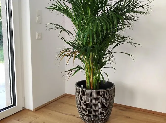Apartmán Roksox-home Gegenueber Der Uno-city Und Kaiserwasser Vídeň